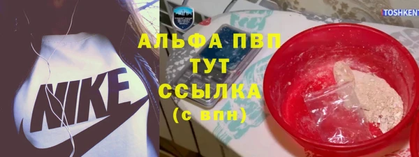 a pvp Коряжма