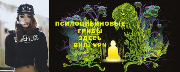 a pvp Коряжма