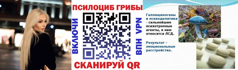 Галлюциногенные грибы мицелий  Купить где  Гусев 